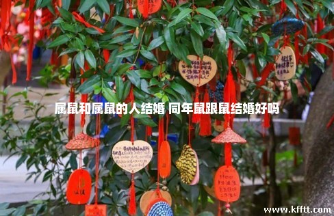 属鼠和属鼠的人结婚 同年鼠跟鼠结婚好吗 属鼠和属鼠的人结婚 同年鼠跟鼠结婚好吗