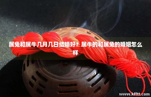 属兔和属牛几月几日结婚好?属牛的和属兔的婚姻怎么样 属兔和属牛几月几日结婚好?属牛的和属兔的婚姻怎么样