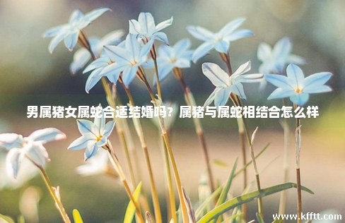 男属猪女属蛇合适结婚吗？属猪与属蛇相结合怎么样