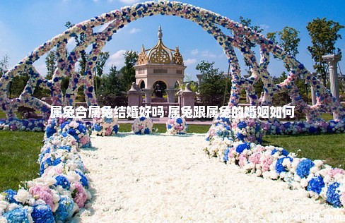 属兔合属兔结婚好吗 属兔跟属兔的婚姻如何