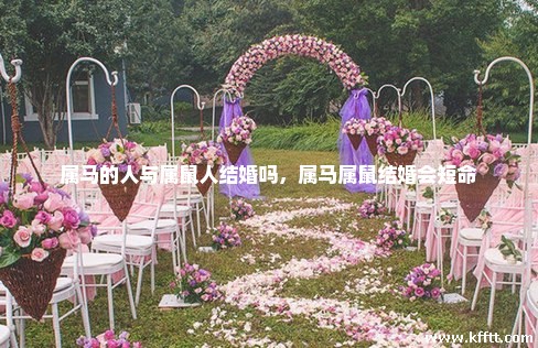 属马的人与属鼠人结婚吗，属马属鼠结婚会短命