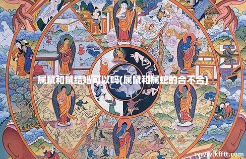 属鼠和鼠结婚可以吗(属鼠和属蛇的合不合)