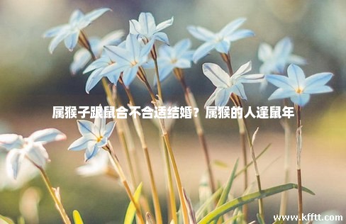 属猴子跟鼠合不合适结婚?属猴的人逢鼠年 属猴子跟鼠合不合适结婚?属猴的人逢鼠年