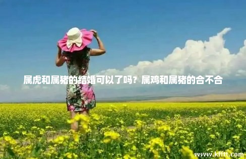 属虎和属猪的结婚可以了吗?属鸡和属猪的合不合 属虎和属猪的结婚可以了吗?属鸡和属猪的合不合