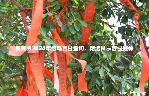 属狗男2024年结婚吉日查询,精选良辰吉日推荐 属狗男2024年结婚吉日查询,精选良辰吉日推荐