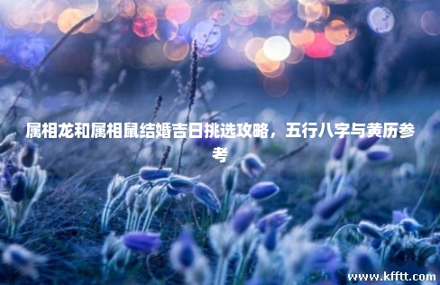 属相龙和属相鼠结婚吉日挑选攻略，五行八字与黄历参考